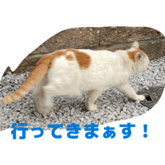 meatman_20260423000440