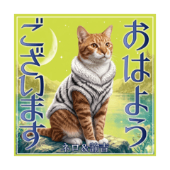 himayan_20260419130436