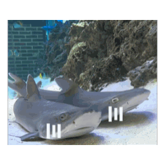 KENJI_NW_20260421213735