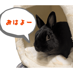 denndennmaru_20260423000424