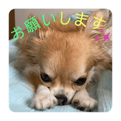 ricchannn_20260423000701