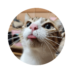 ㄗㄨㄟˋ可愛的狗