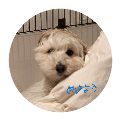 hakojin_20260423010052