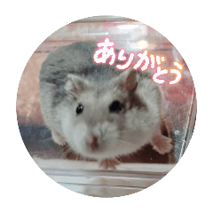 natsu_20260422181535