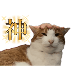 pripri_20260423010701