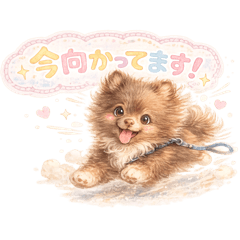 Yozora_20260423034735