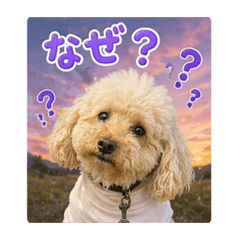 mikorin_20260423045034