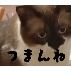 satoki_20260419132025