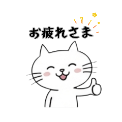 Round White Cat Daily Sticker