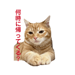 gumemen_20260419132348