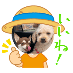 fura_20260423095207