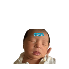 o.miyu_20260423114711