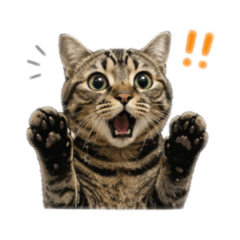 DONchan_20260423114327