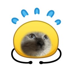 Miyuuu_20260423115854