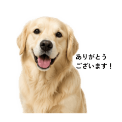 kyoko_20260423123045