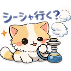 Light_20260419150154