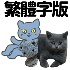 輕鬆發送！小貓洛基的提問貼圖