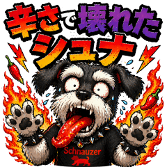 Spicy Schnauzer Gone Wild