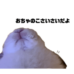 wakan2ya_20260423125006