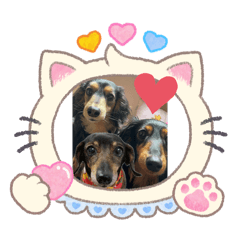 ERIKA_20260423124709