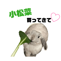 wakan2ya_20260423124844