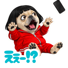 Frenchbulldog Buhiko 2