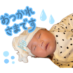 kirara_20260423125305