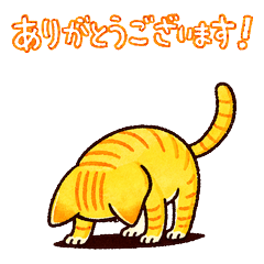 Cute & Loose Ginger Cat Daily