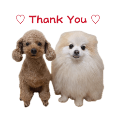 Ului._20260422204904