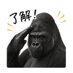 conference_20260422204043