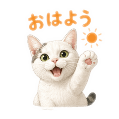 saisyu_20260422225130