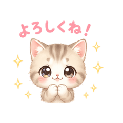 SACHI_20260422234947