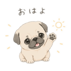 sawawan_20260423005159