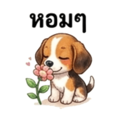 Pi barely cute begle