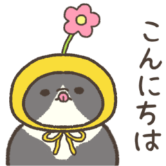 ☆とろけるネコの春☆靴下猫☆ハチワレ１