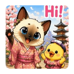 Sunny_20260422210141