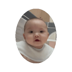 貓福貓福動滋動