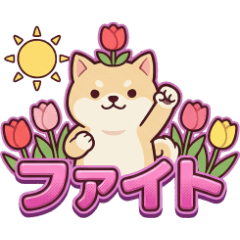 Wankoro Maru: Feel the Spring Vibes