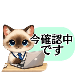 Simple Polite Cat Stickers Work Use