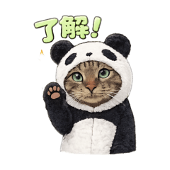 DONchan_20260423113859