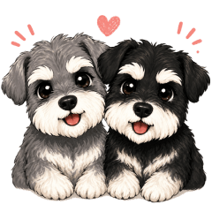 Daily Miniature Schnauzers