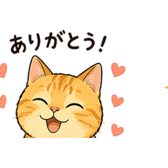 Every Day with Chataro