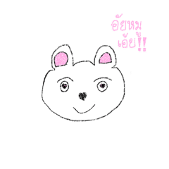 nongaplace_20260422223330