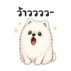 Sherlyn&Shopang_20260422230239