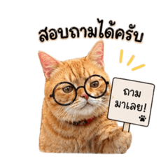 PloyMon:p_20260422230422