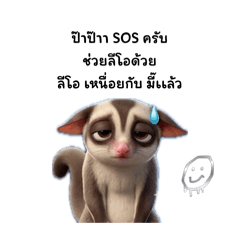 Music.c_202604230047122