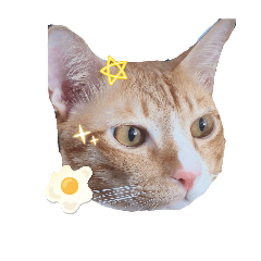 butter_20260423001657