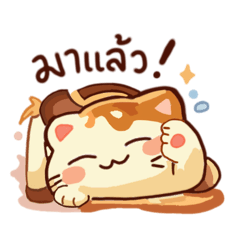 MochiMeow_20260423101154