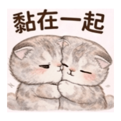 可愛的摺耳貓，情侶互動01