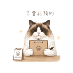 布偶貓熊熊預約篇